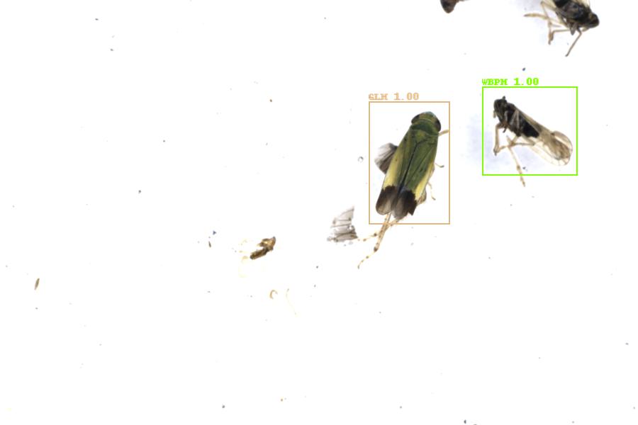 Image 79
